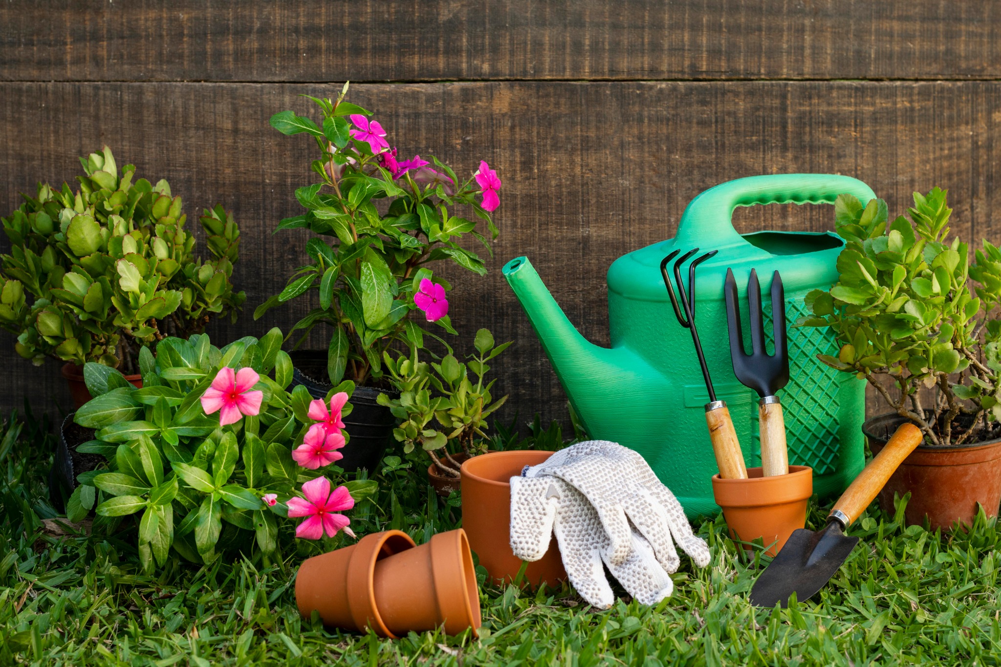 Gartenpflege
